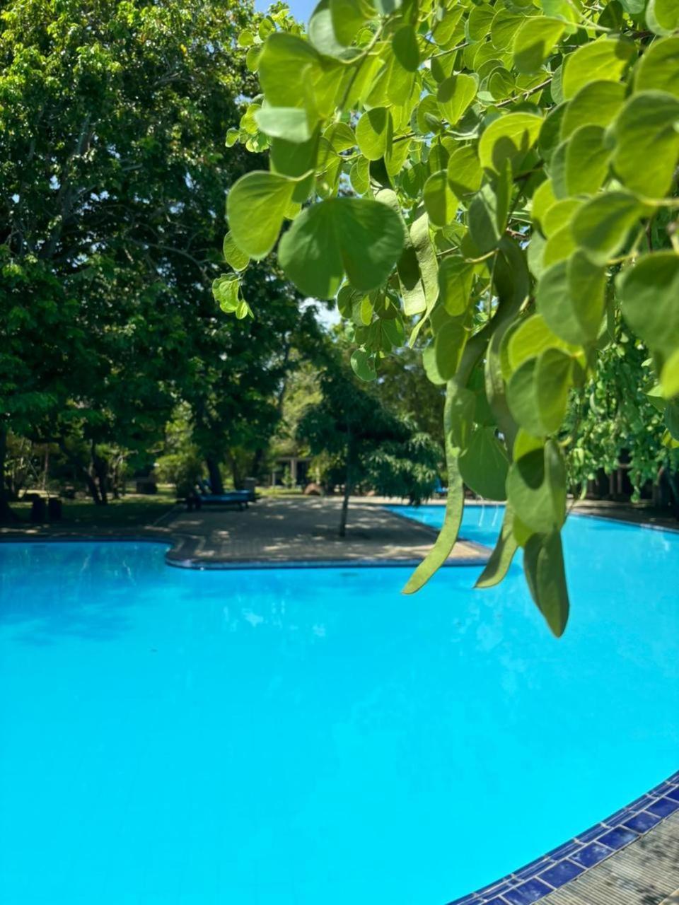 Hotel Elephant Reach Yala Extérieur photo