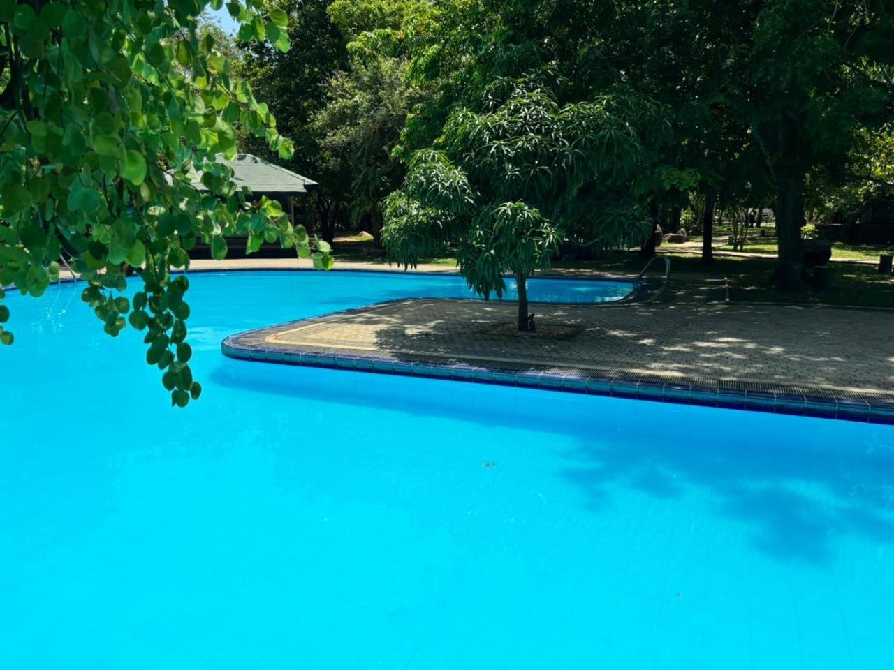 Hotel Elephant Reach Yala Extérieur photo