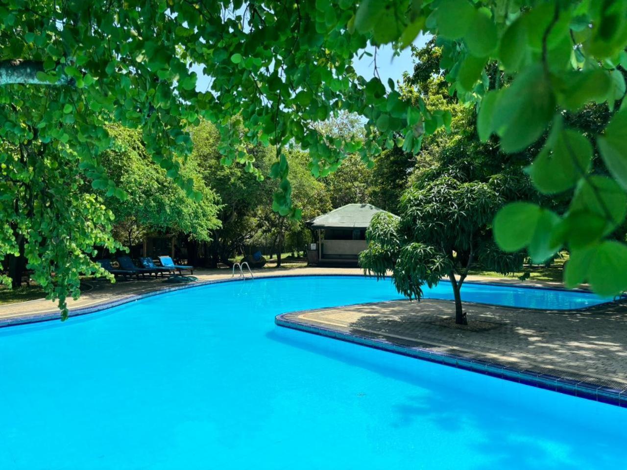 Hotel Elephant Reach Yala Extérieur photo